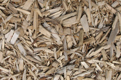 biomass boilers Cilrhedyn